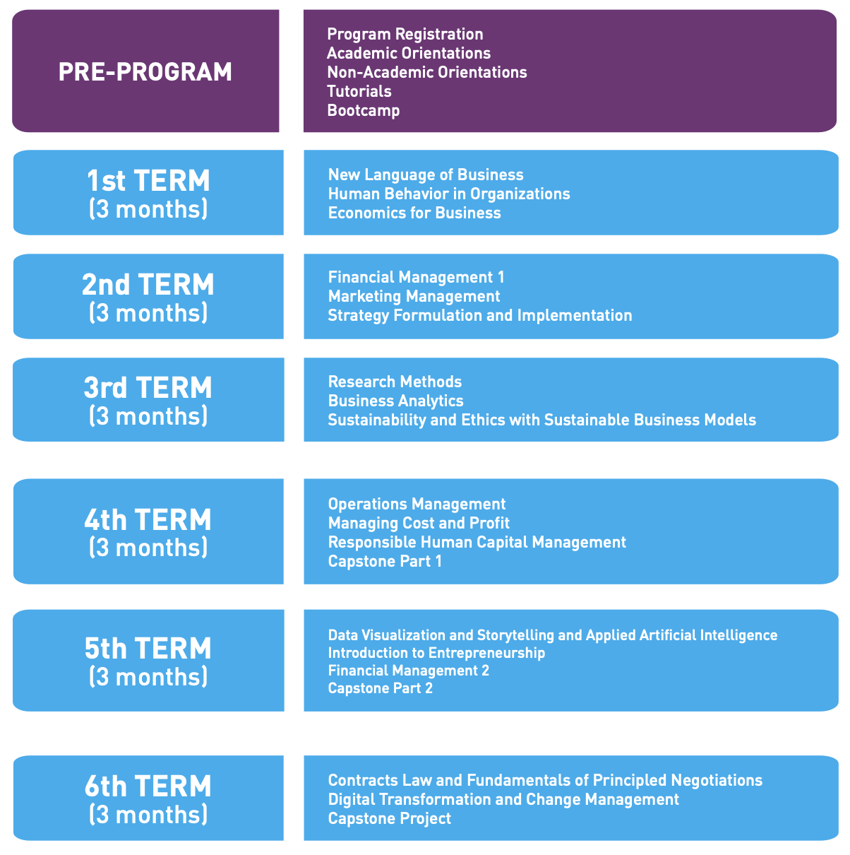 Academic Experience Infographics